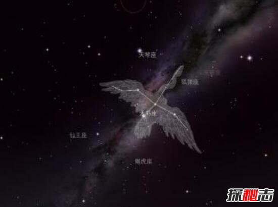 宇宙最大的星球排名：盾牌座UY稳居第一812 / 作者:志向探秘 / 帖子ID:49669