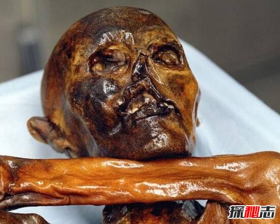 世界上保存最完整的木乃伊冰人奥茨，尸体5300年不腐994 / 作者:网上的人生 / 帖子ID:49533