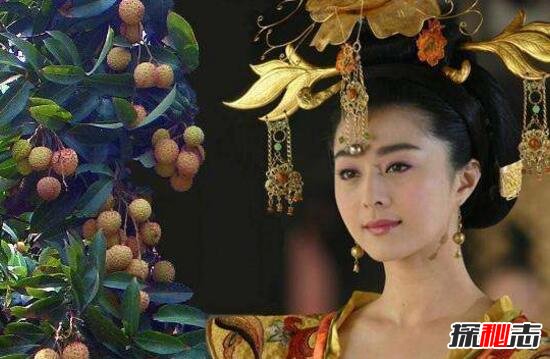 揭秘杨贵妃宝藏之谜，带大量金银珠宝逃亡日本950 / 作者:网上的人生 / 帖子ID:49475