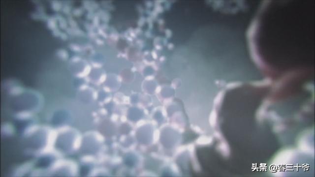 你可曾想过，我们是怎么来的，系列文章之神奇的人类起源929 / 作者:2支棒棒糖 / 帖子ID:49642