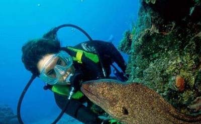 海底一万米的压力有多大?736 / 作者:爱UFO者 / 帖子ID:50065