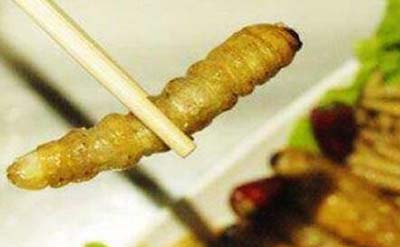 舌尖上的重口味，仫佬族吃虫节591 / 作者:网上的人生 / 帖子ID:49803