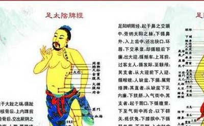 古代人体经络之谜，经脉维系着生命活力_决断人的生死855 / 作者:网上的人生 / 帖子ID:49820