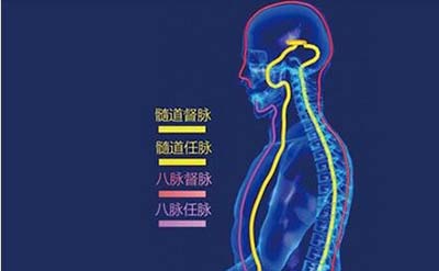 古代人体经络之谜，经脉维系着生命活力_决断人的生死859 / 作者:网上的人生 / 帖子ID:49820