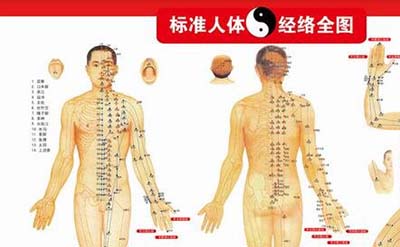 古代人体经络之谜，经脉维系着生命活力_决断人的生死954 / 作者:网上的人生 / 帖子ID:49820