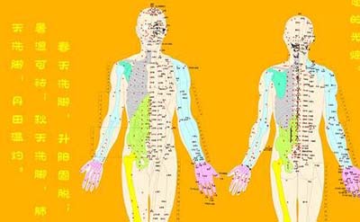古代人体经络之谜，经脉维系着生命活力_决断人的生死767 / 作者:网上的人生 / 帖子ID:49820