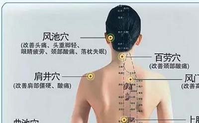 古代人体经络之谜，经脉维系着生命活力_决断人的生死594 / 作者:网上的人生 / 帖子ID:49820