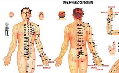 古代人体经络之谜，经脉维系着生命活力_决断人的生死602 / 作者:网上的人生 / 帖子ID:49820