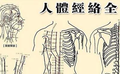 古代人体经络之谜，经脉维系着生命活力_决断人的生死442 / 作者:网上的人生 / 帖子ID:49820