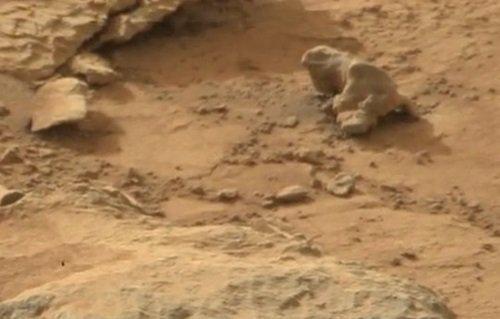 究竟世界上有没有外星人呢 答案就在这NASA的8张照片里760 / 作者:lillian0630 / 帖子ID:49938