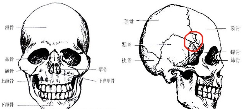 人类生理上有什么不合理之处？763 / 作者:57830716 / 帖子ID:49950