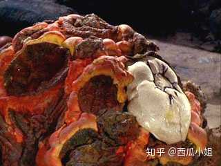 是否存在铁基、硅基生命，对他们有什么预测？502 / 作者:dptzxy91 / 帖子ID:49958