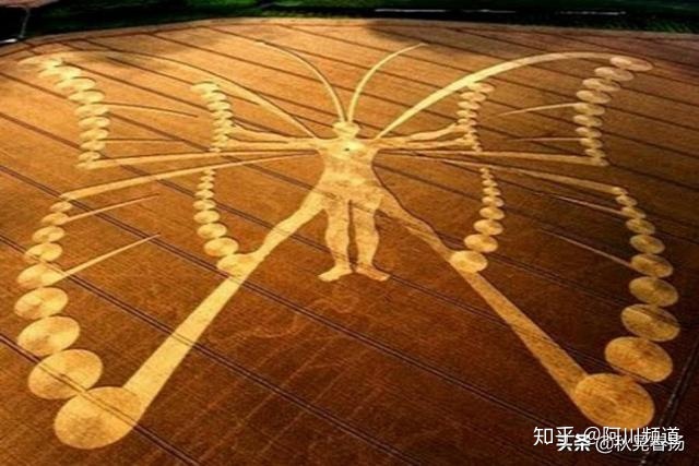 为什么麦田怪圈如此着迷？两个男人已经坦白了，但世界却无动于衷286 / 作者:ccxm / 帖子ID:49984