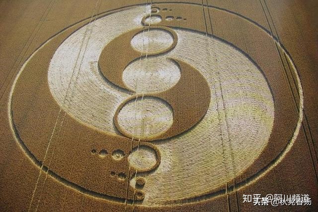 为什么麦田怪圈如此着迷？两个男人已经坦白了，但世界却无动于衷81 / 作者:ccxm / 帖子ID:49984