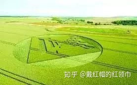未解之谜！全球2000多个麦田怪圈，真是外星人干的？335 / 作者:nara0707 / 帖子ID:49985