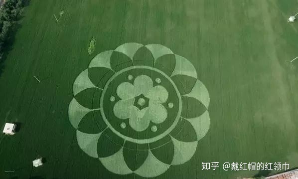 未解之谜！全球2000多个麦田怪圈，真是外星人干的？437 / 作者:nara0707 / 帖子ID:49985