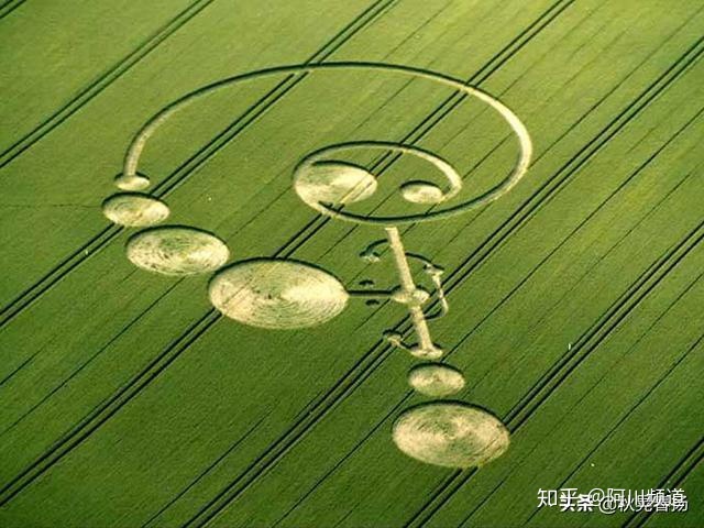 为什么麦田怪圈如此着迷？两个男人已经坦白了，但世界却无动于衷266 / 作者:ccxm / 帖子ID:49984
