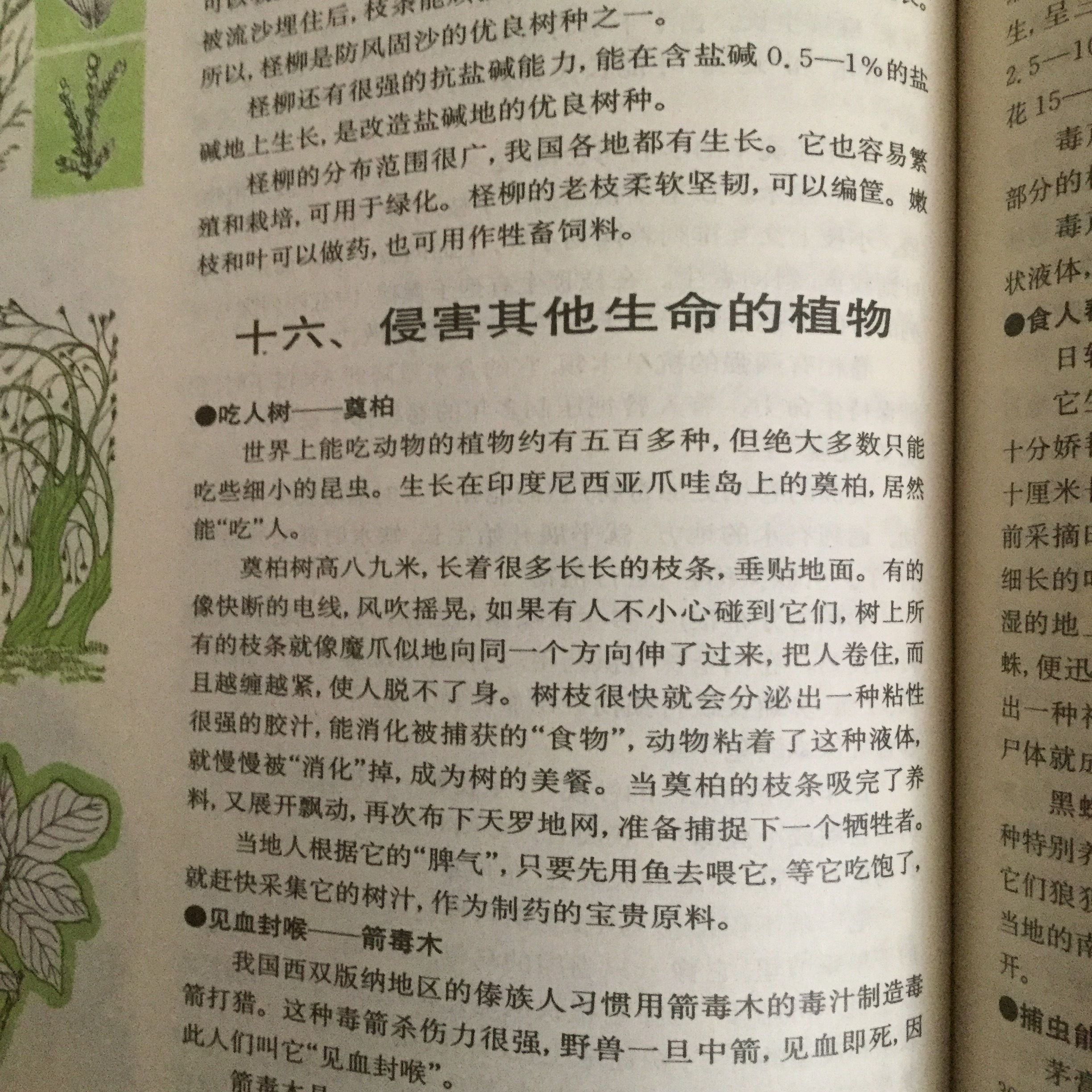 有哪些世界未解之谜被证明是骗局?880 / 作者:6363 / 帖子ID:49983