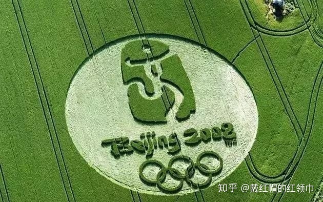 未解之谜！全球2000多个麦田怪圈，真是外星人干的？904 / 作者:nara0707 / 帖子ID:49985