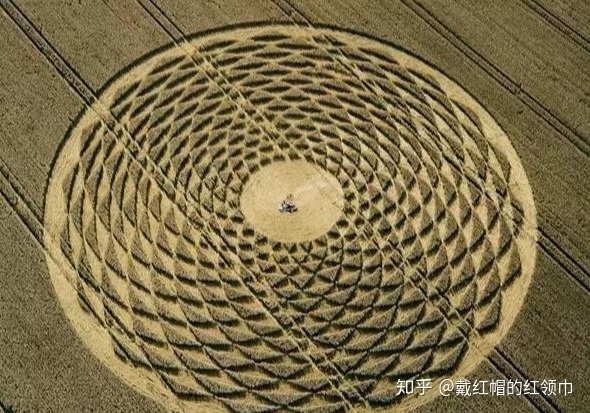 未解之谜！全球2000多个麦田怪圈，真是外星人干的？679 / 作者:nara0707 / 帖子ID:49985
