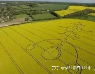 未解之谜！全球2000多个麦田怪圈，真是外星人干的？683 / 作者:nara0707 / 帖子ID:49985