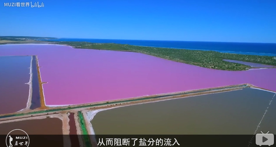 地球上有哪些超出常人想象的自然现象？444 / 作者:jansie1314 / 帖子ID:50016