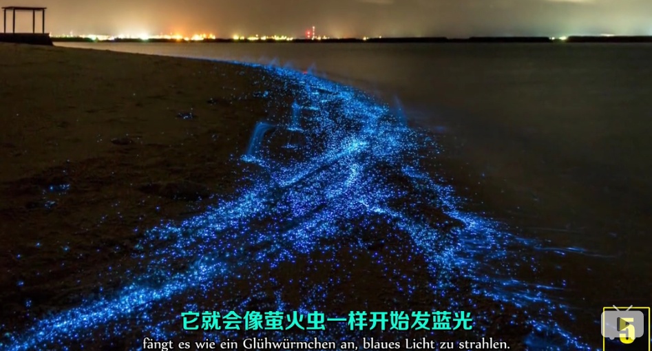 地球上有哪些超出常人想象的自然现象？570 / 作者:jansie1314 / 帖子ID:50016