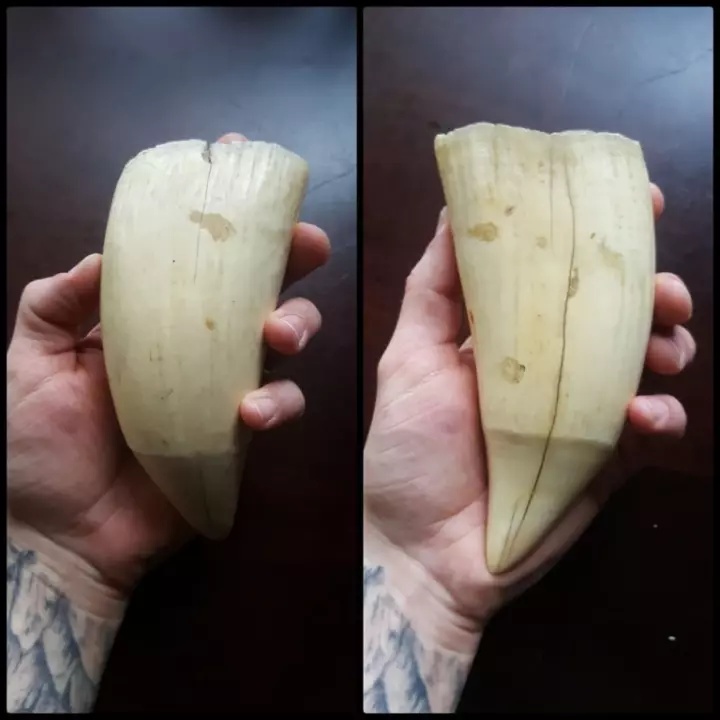 地球上有哪些超出常人想象的自然现象？123 / 作者:czhuosu / 帖子ID:50016