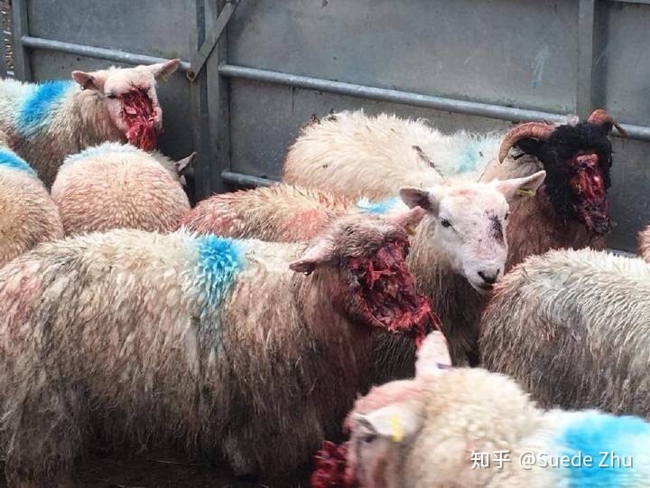 地球上有哪些超出常人想象的自然现象？61 / 作者:czhuosu / 帖子ID:50016