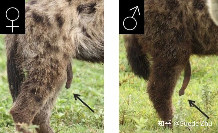 地球上有哪些超出常人想象的自然现象？352 / 作者:czhuosu / 帖子ID:50016