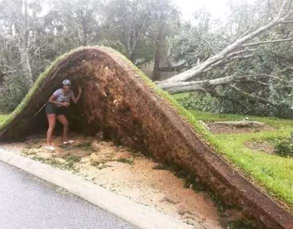 地球上有哪些超出常人想象的自然现象？790 / 作者:1254873 / 帖子ID:50017