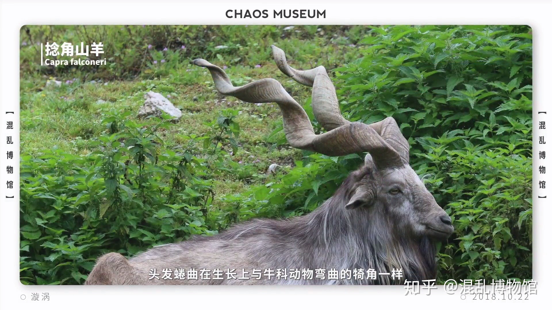 地球上有哪些超出常人想象的自然现象？633 / 作者:21321312 / 帖子ID:50017