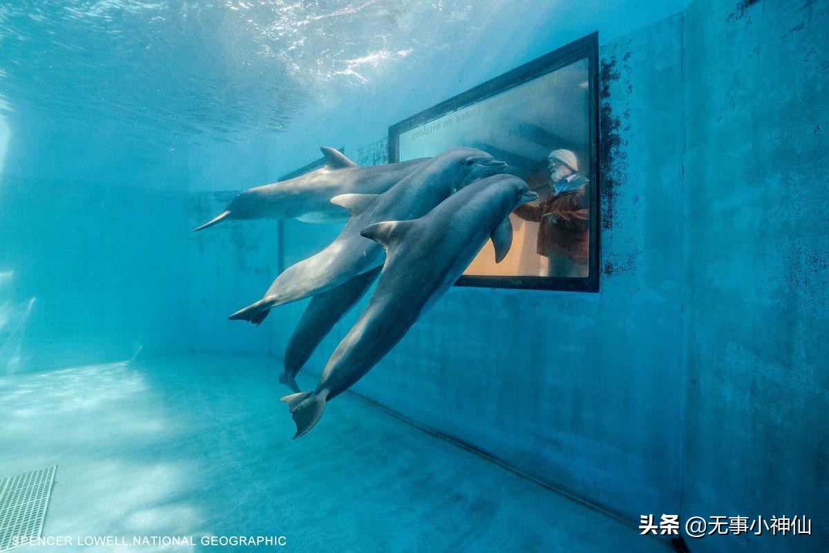 宇宙中还有谁？？人类一直在努力中476 / 作者:daomei / 帖子ID:50038