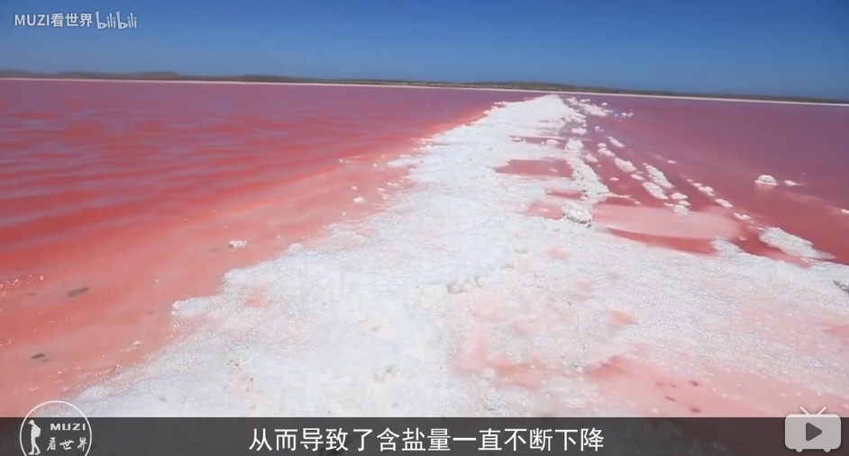 地球上有哪些超出常人想象的自然现象？522 / 作者:目师 / 帖子ID:50162