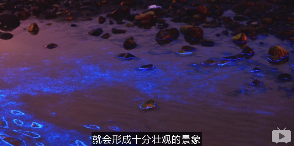 地球上有哪些超出常人想象的自然现象？564 / 作者:目师 / 帖子ID:50162