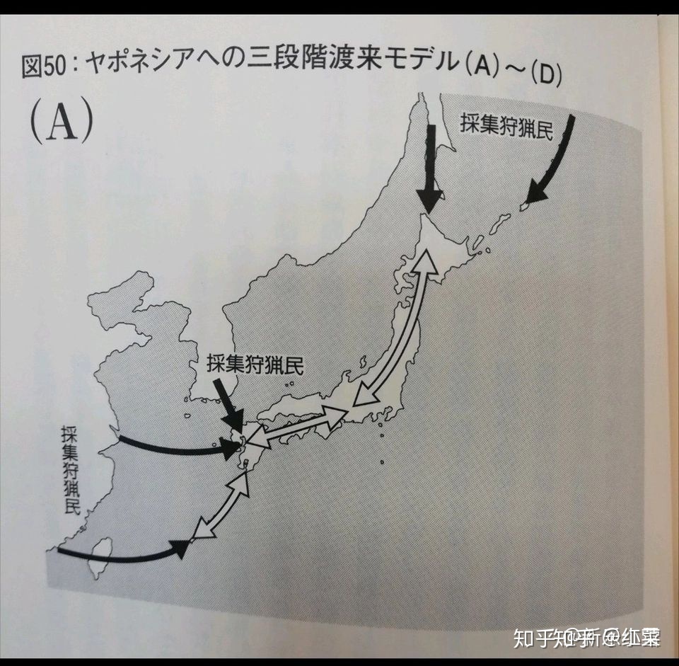 日本人的起源是哪里？299 / 作者:guaigege / 帖子ID:50158