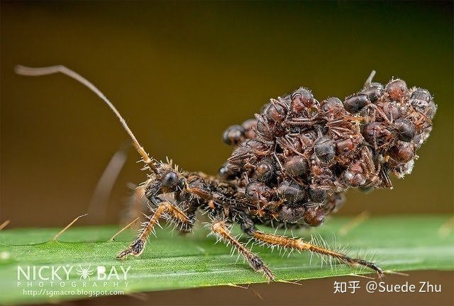 地球上有哪些超出常人想象的自然现象？782 / 作者:NEkYTdbZ / 帖子ID:50162