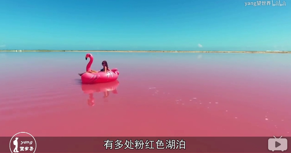 地球上有哪些超出常人想象的自然现象？63 / 作者:renew / 帖子ID:50163