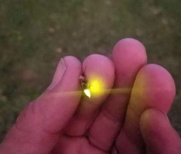地球上有哪些超出常人想象的自然现象？204 / 作者:的关法规范化 / 帖子ID:50163