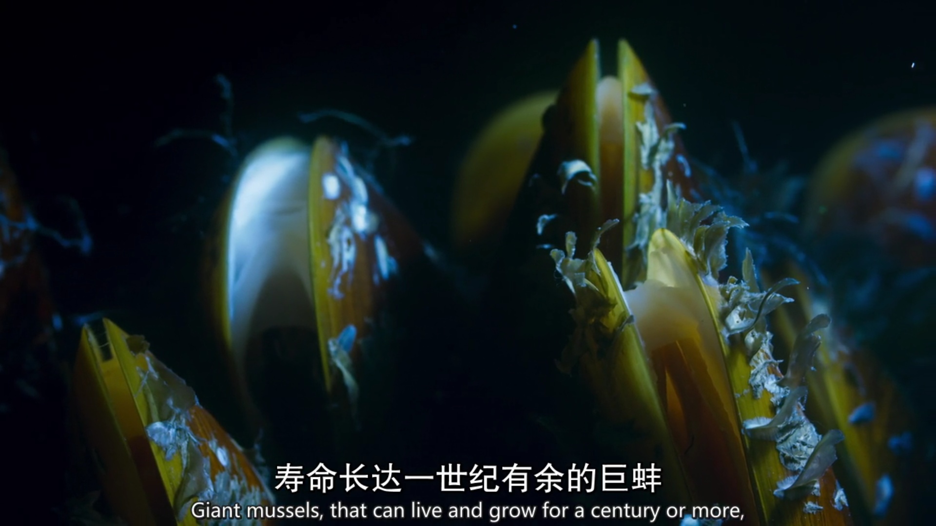 地球上有哪些超出常人想象的自然现象？863 / 作者:yehangdy / 帖子ID:50163