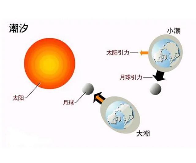 地球上涨落潮是什么原理？科学家：引力差284 / 作者:jeff963 / 帖子ID:50302