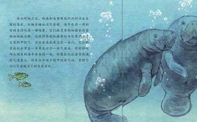 世界上有美人鱼吗？美人鱼是怎么来的287 / 作者:网上的人生 / 帖子ID:50232