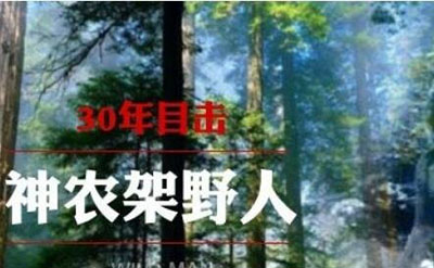 揭秘神农架野人之谜，未知的大型野生动物906 / 作者:网上的人生 / 帖子ID:50233