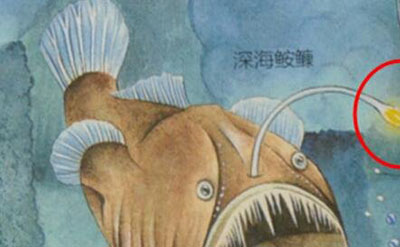 科学揭秘生物发光之谜，萤火虫为求偶而发光874 / 作者:网上的人生 / 帖子ID:50236