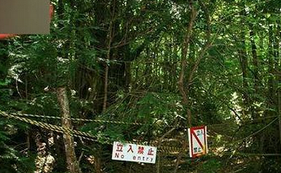 日本自杀森林之谜，上千人慕名前往自杀遍地尸骨_邪门至极522 / 作者:网上的人生 / 帖子ID:50273