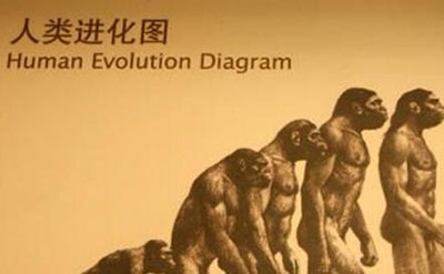 解密人类进化谜团，人类是杂交后代361 / 作者:爱UFO者 / 帖子ID:50609