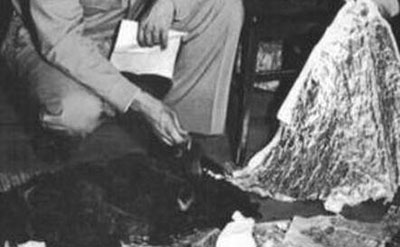 1947年飞碟坠毁事件，外星人惨死962 / 作者:爱UFO者 / 帖子ID:50494