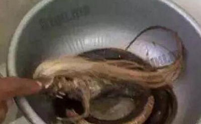 人头蛇身怪物震惊全球，蛇毒凶猛毒死2个捕蛇人员873 / 作者:网上的人生 / 帖子ID:50271