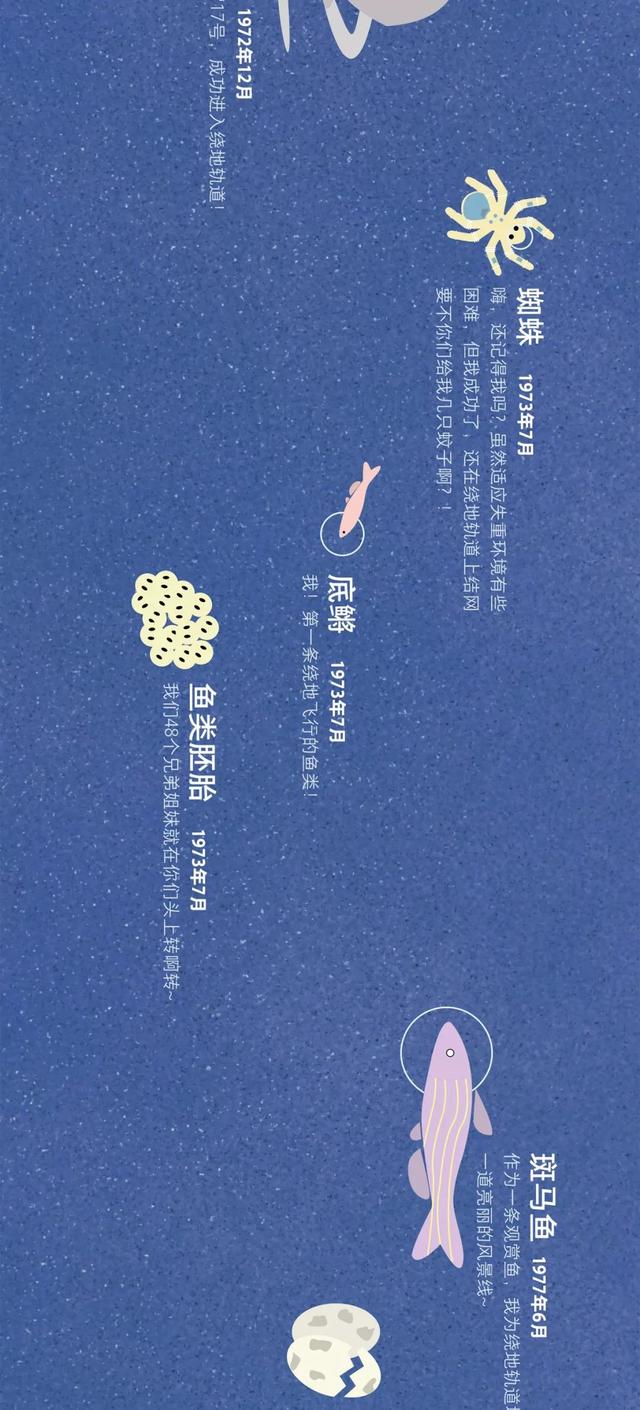 宇宙动物图鉴74 / 作者:dsadsadsasd / 帖子ID:50349
