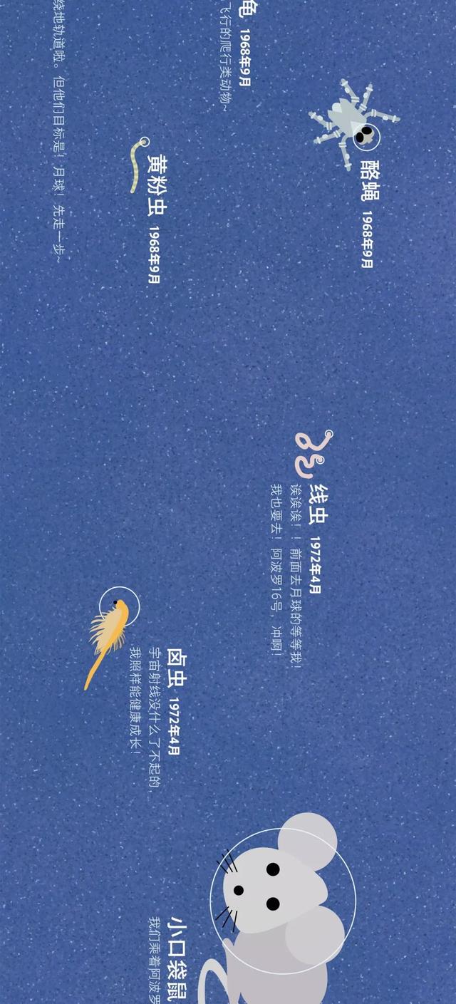 宇宙动物图鉴726 / 作者:dsadsadsasd / 帖子ID:50349